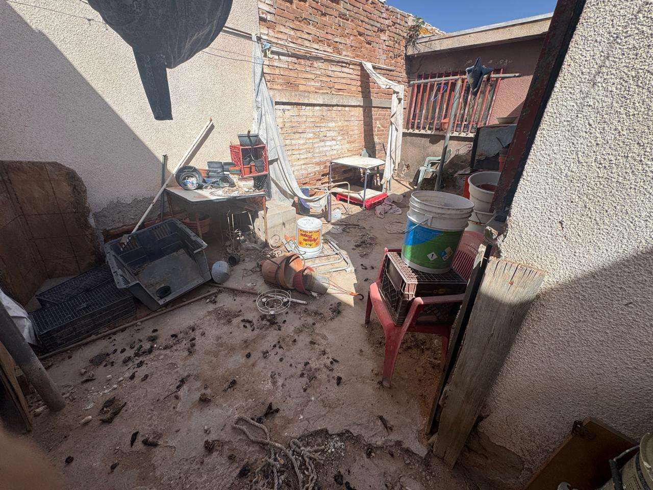 Rescatan a adulta mayor de su vivienda infestada de garrapatas en la Hidalgo