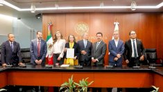 Recibe Senado plan B de reforma electoral