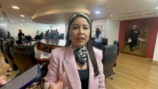 Pospone Congreso dictamen sobre violencia vicaria para análisis integral 