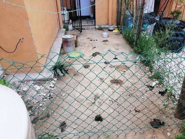 Sancionará Municipio a dueños de patios sucios 
