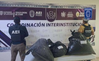 Aseguran 34 kilogramos de mariguana en carretera a Aldama 