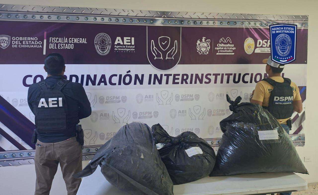 Aseguran 34 kilogramos de mariguana en carretera a Aldama
