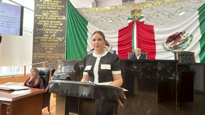 Plantean crear el Día Estatal de las Personas Profesionales de la Salud Pública