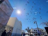 Se espera día soleado con máxima de 31 grados centígrados 