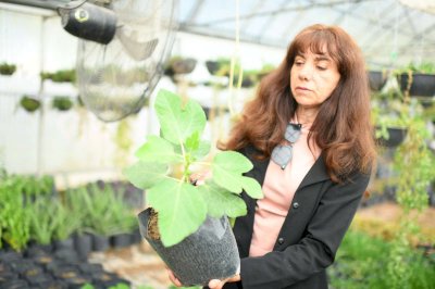 Enseña experta de la UACH a cuidar tu jardín en primavera