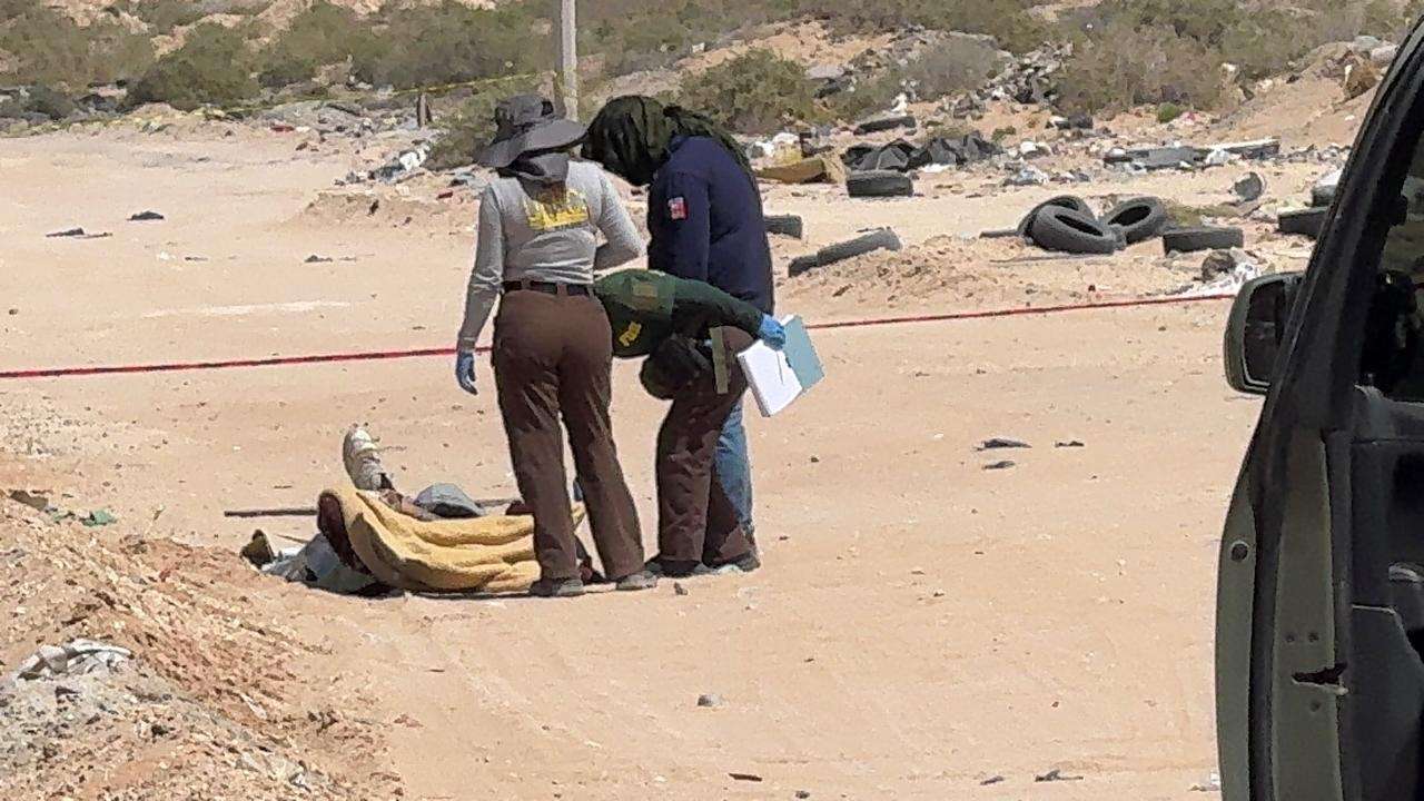 Localizan a hombre sin vida envuelto en cobijas en Jardines de Roma