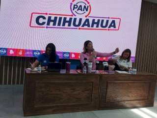 Define PAN método híbrido con encuestas y entrevistas