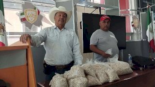 Advierte UCD pérdidas por bajo respaldo al precio del frijol