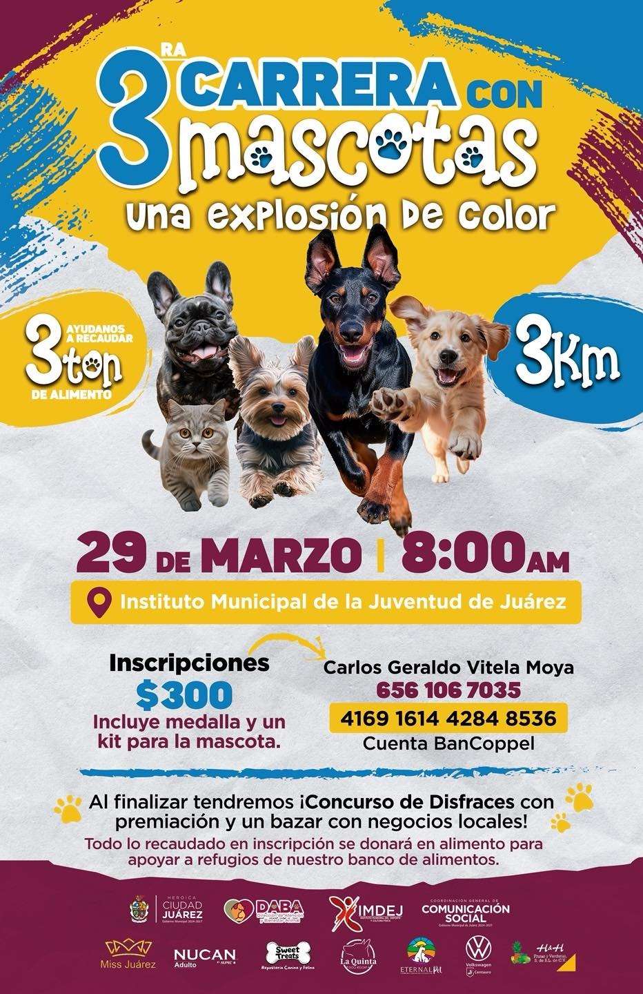Realizarán la Tercera Carrera de Mascotas este domingo 
