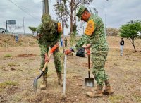 Intensifican campaña de reforestación en Parral