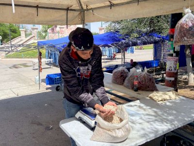 Comercializan con éxito más de 250 kilos de frijol