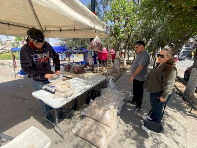 Venden más de 250 kilos de frijol en Plaza del Ángel 