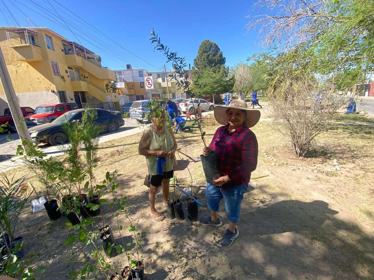 Plantan 60 árboles en Infonavit Casas Grandes