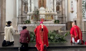 La vida brota de la muerte: Inicia Semana Santa