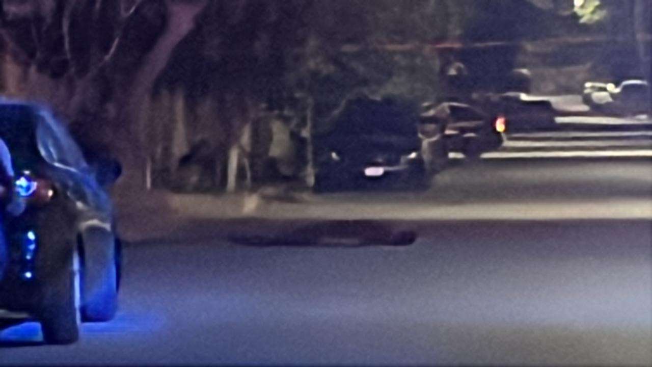 Asesinan a hombre a balazos frente a Six en Salvarcar