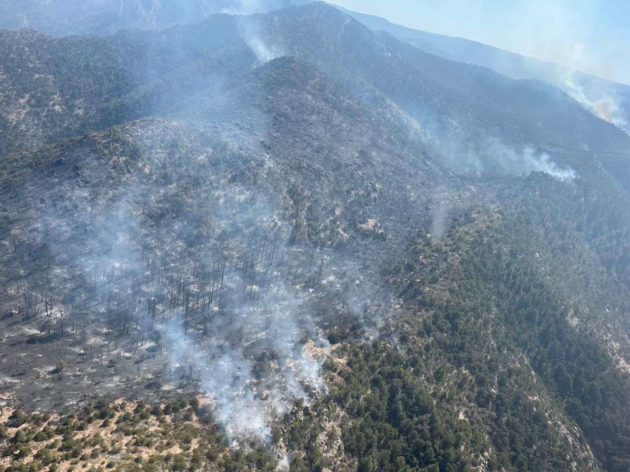 Controlan incendios forestales en la Sierra; suman 91 en el año