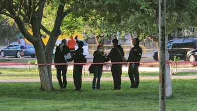 Se suicida en el parque El Platanito 