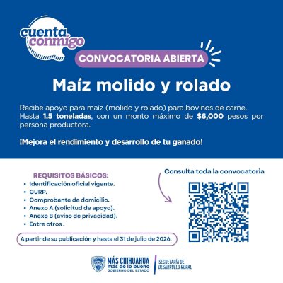 Abren convocatoria de apoyo de maíz para productores pecuarios