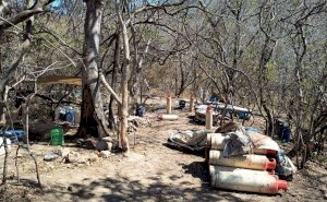Neutralizan narcolaboratorio en Sinaloa; sería de Los Chapitos