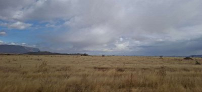 Exhorta a extremar precauciones ante pronóstico de lluvia y viento