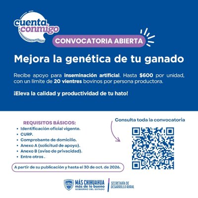 Disponen apoyo para mejoramiento genético bovino 