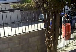 Captan en video a ladrones de botes de basura en Quintas Carolinas 