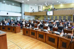 Proponen la Ley Alina para casos de violencia feminicida