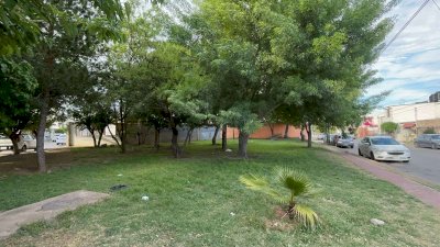 Oasis en el norte: sorprende verdor en parques de colonia Alamedas