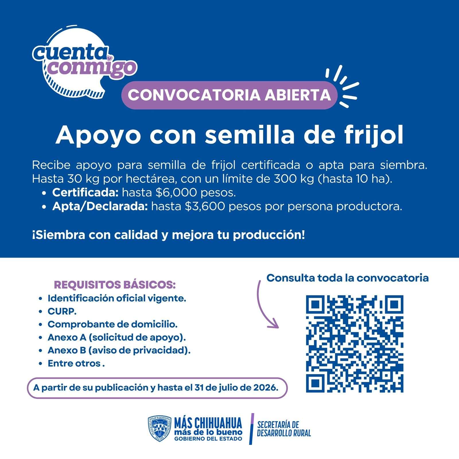 Abren convocatoria para apoyo en semilla de frijol