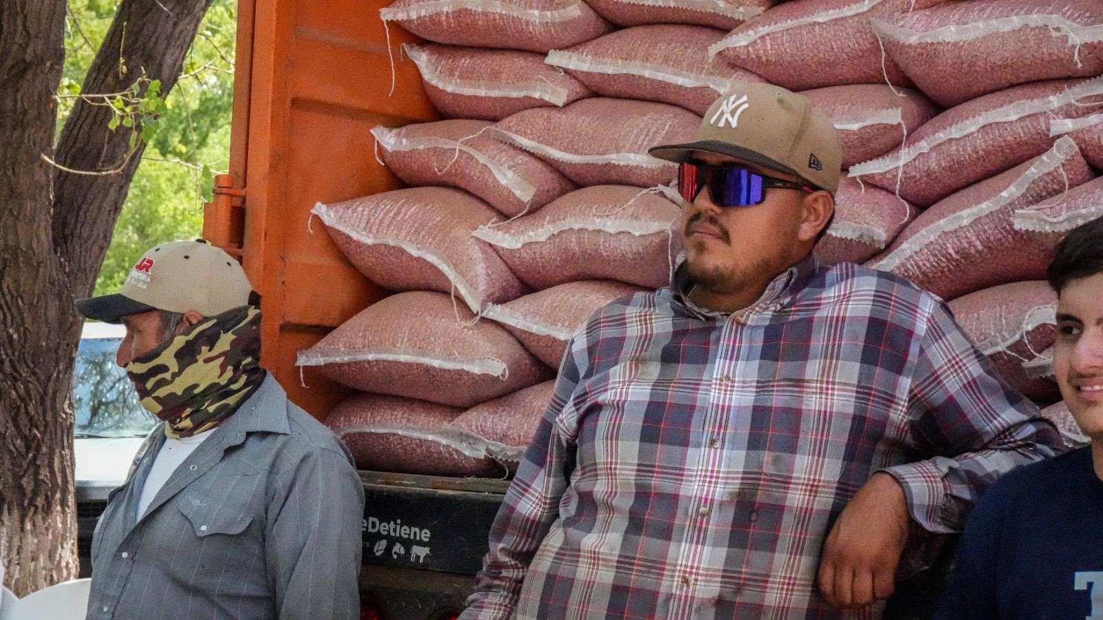 Abren convocatoria para apoyo en semilla de frijol
