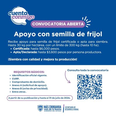 Abren convocatoria para apoyo en semilla de frijol