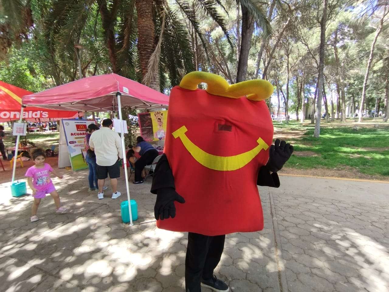 Presencia Domingo Feliz baja asistencia 
