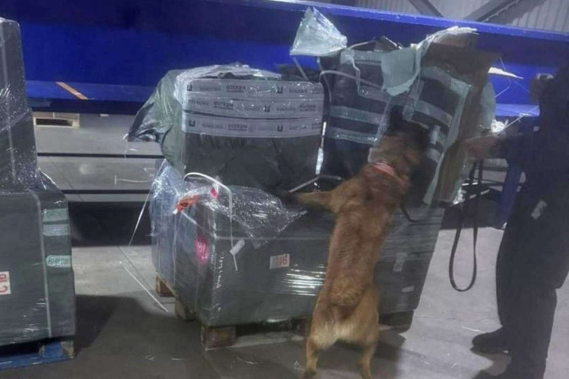 Aseguran casi dos millones de cigarros ilegales en el AICM 