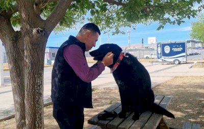 Concluyen su servicio cinco canes de la Policía Municipal