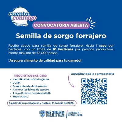 Lanzan apoyo para entrega de semilla de sorgo forrajero