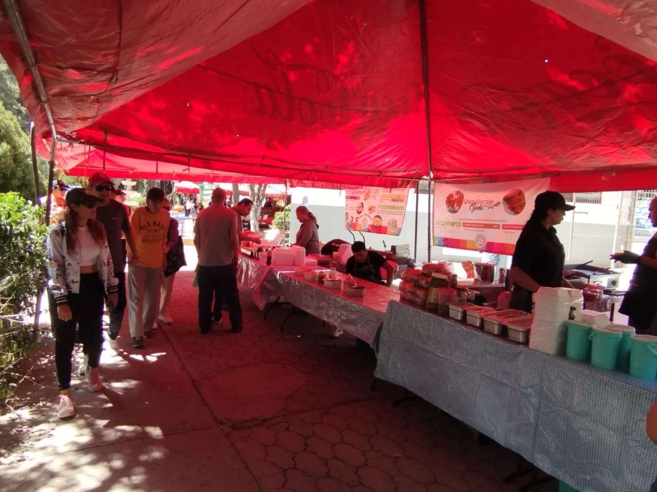 Presencia Domingo Feliz baja asistencia 