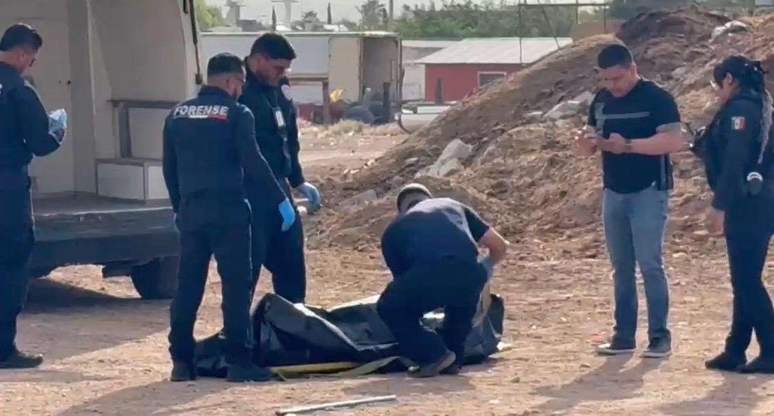 Muere hombre atacado por jauría de perros en el Rastro Municipal