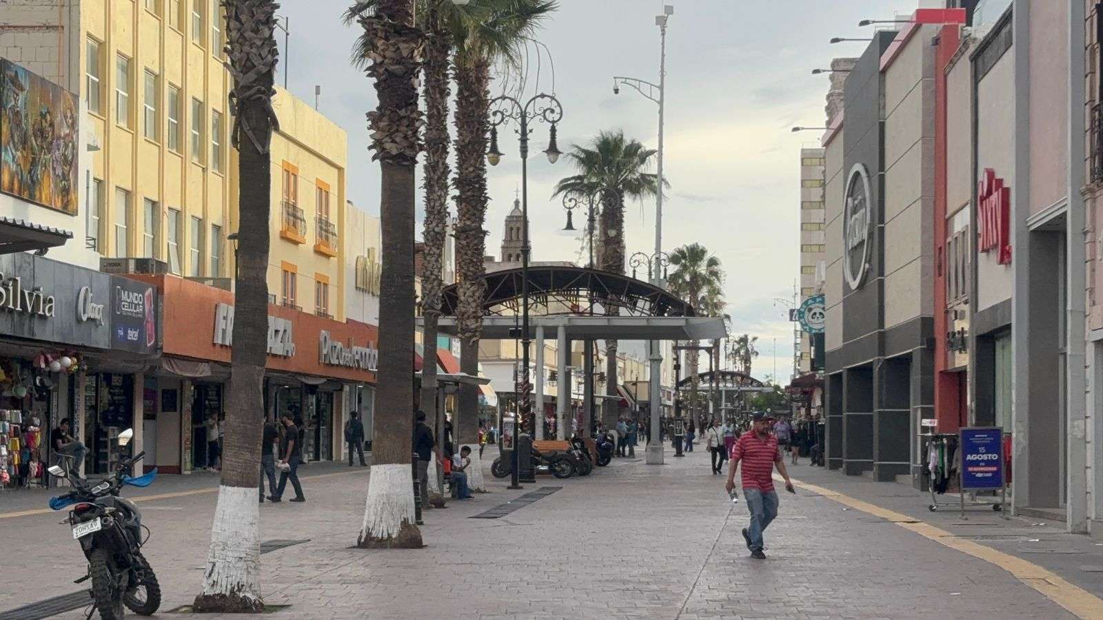 Registra termómetro 24°C y vientos fuertes en la ciudad 