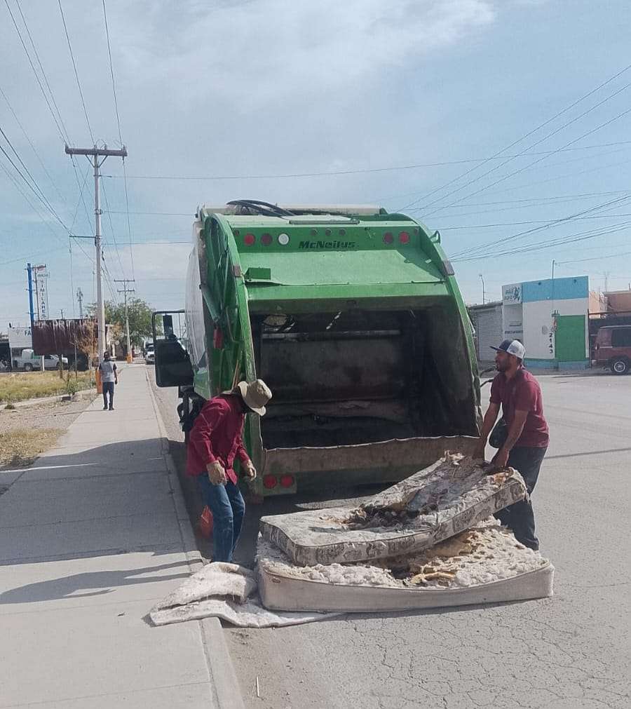 Exhortan a presentar solicitudes de servicio a Limpia por las vías oficiales 