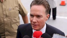 Descarta Partido Verde ruptura con Morena