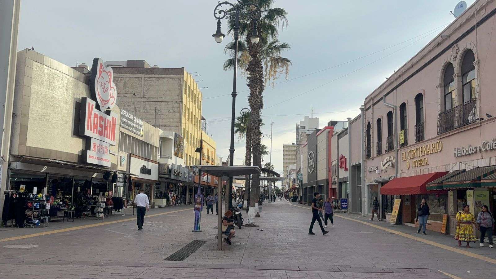 Registra termómetro 24°C y vientos fuertes en la ciudad 