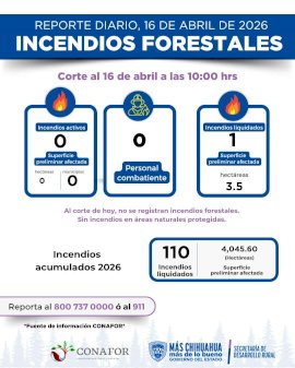 Reportan a Chihuahua sin incendios forestales activos