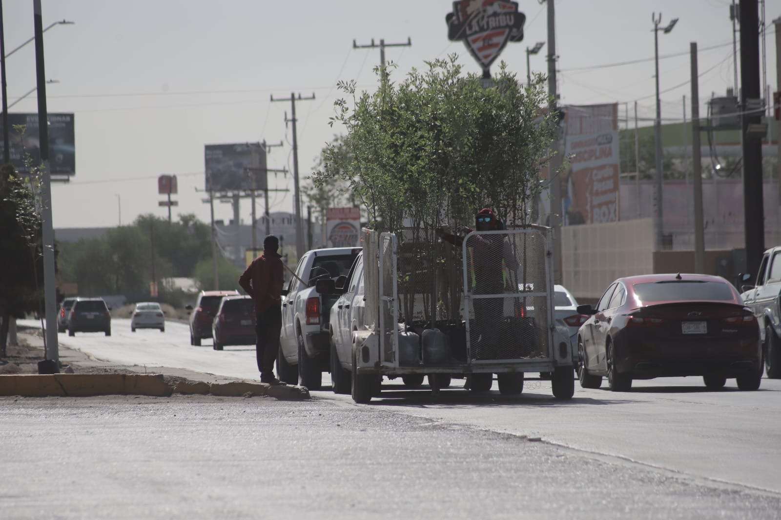 Plantan 85 árboles en avenida Ejército Nacional como parte de reforestación