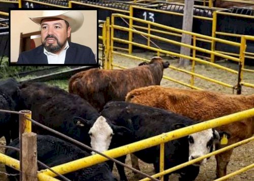 Siguen protocolos de sanidad por casos de tuberculosis bovina