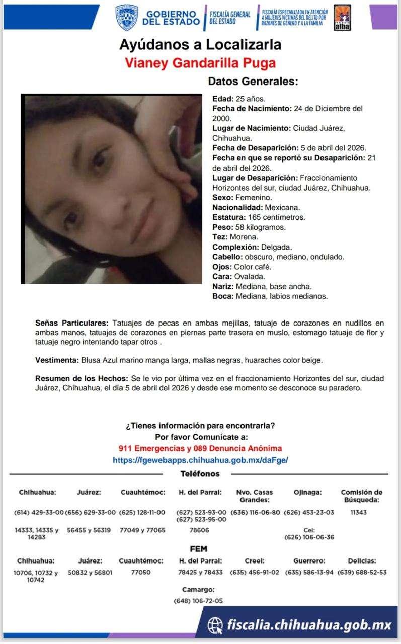 Buscan a Vianey Gandarilla, desaparecida en Horizontes del Sur