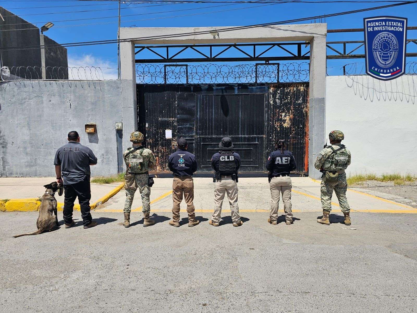 Catea FEM domicilio en la colonia Aztecas