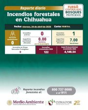 Logran cero incendios activos en el Estado; sofocan siniestro en Batopilas 