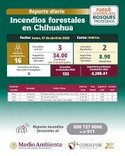 Combaten tres incendios forestales activos en el estado 