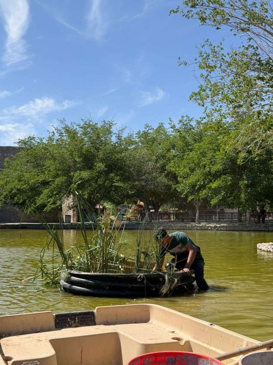 Instalan biorremediadoras en Parque Central 
