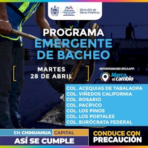 Llega bacheo emergente a siete colonias de la ciudad